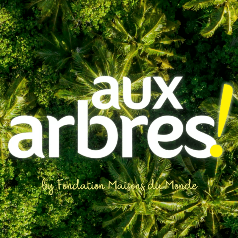 Forêt filmée par un drone