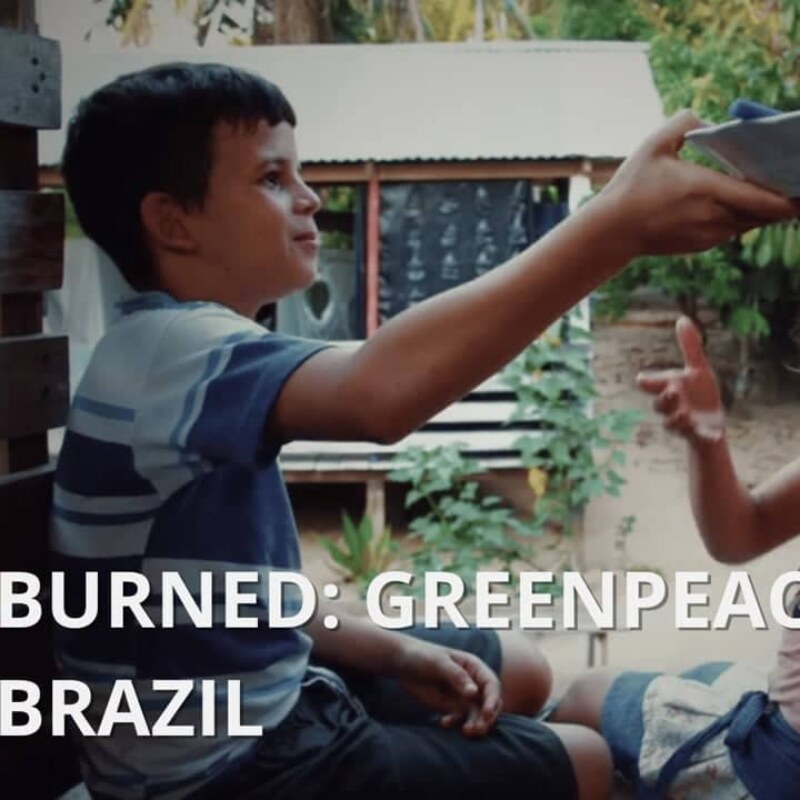 Burned – enquête Greenpeace au Brésil