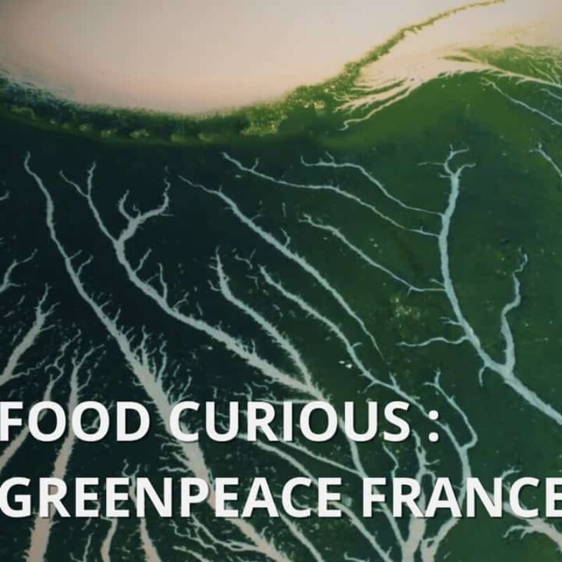 Food Curious – Greenpeace France