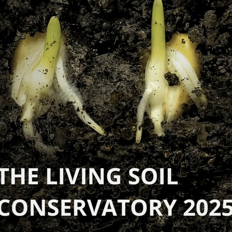 The Living Soil Conservatory – exposition immersive sur la biodiversité des sols