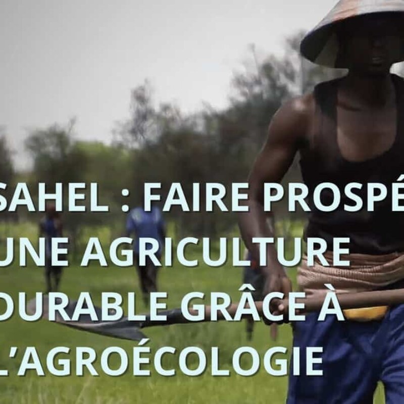 Agroécologie au Sahel – Ministère des Affaires étrangères, Cirad, IRD