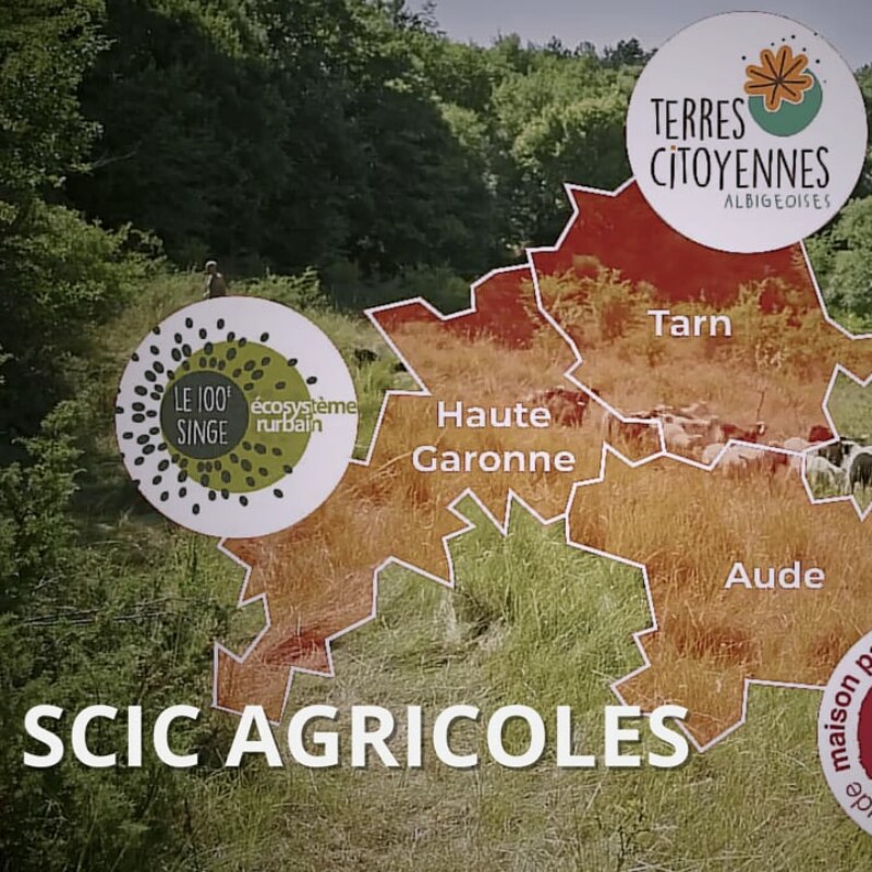 SCIC agricoles – série documentaire sur l’agriculture en collectif